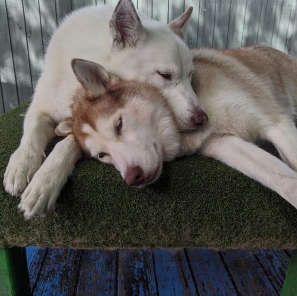 Meet your Posher, Michele π - Picture 12 of 16